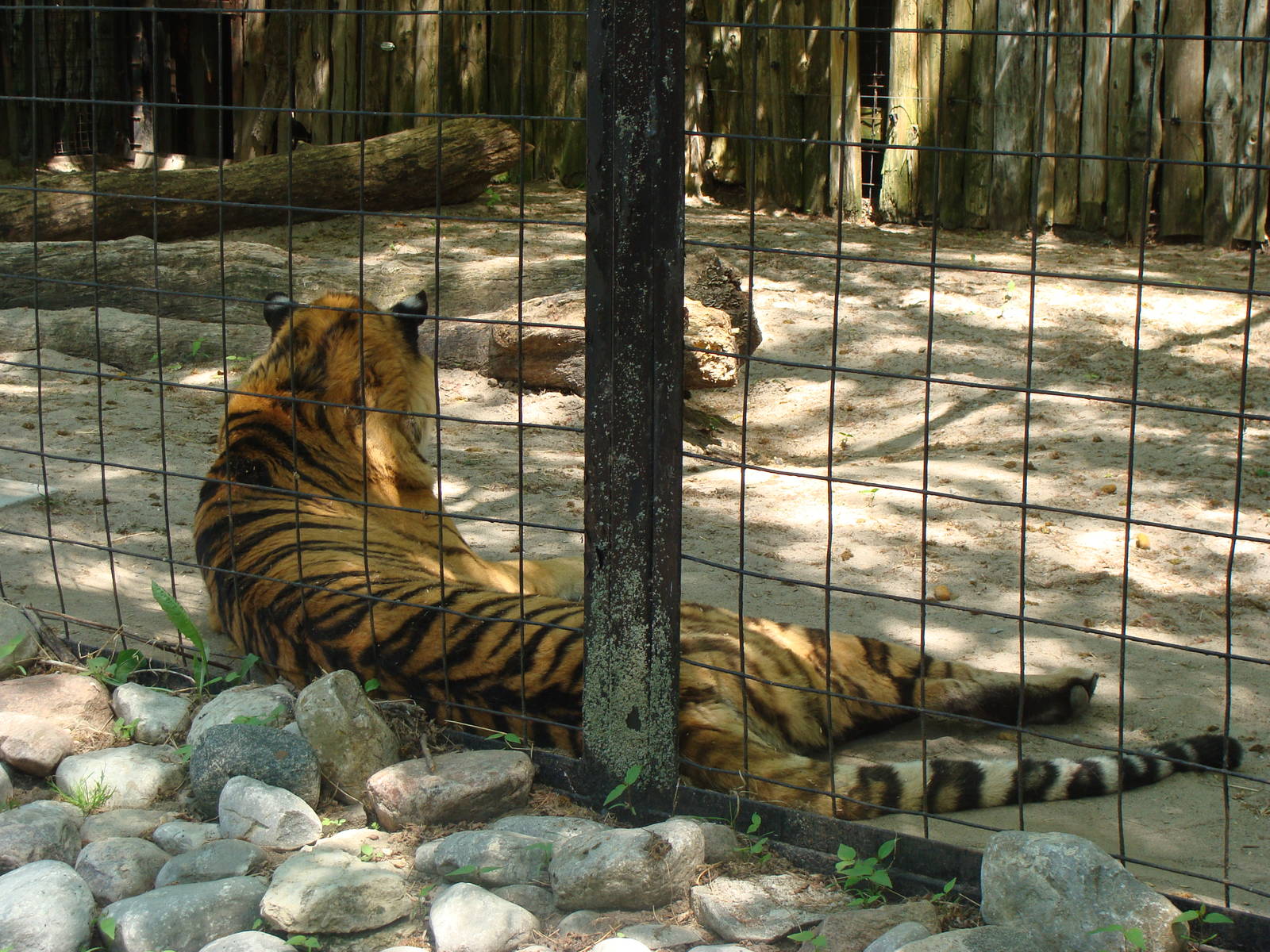 Bowmanville zoo-May 2015