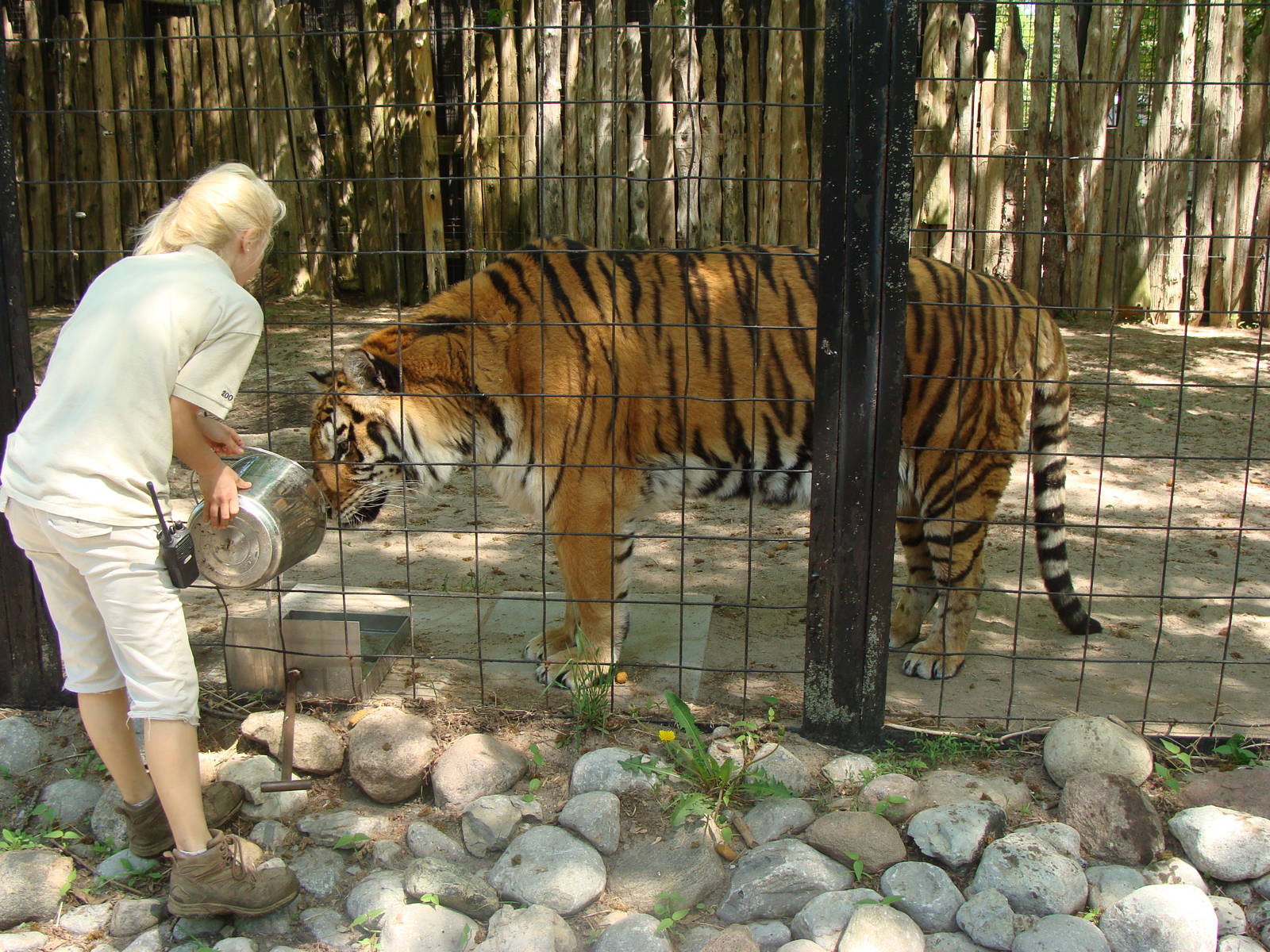 Bowmanville zoo-May 2015