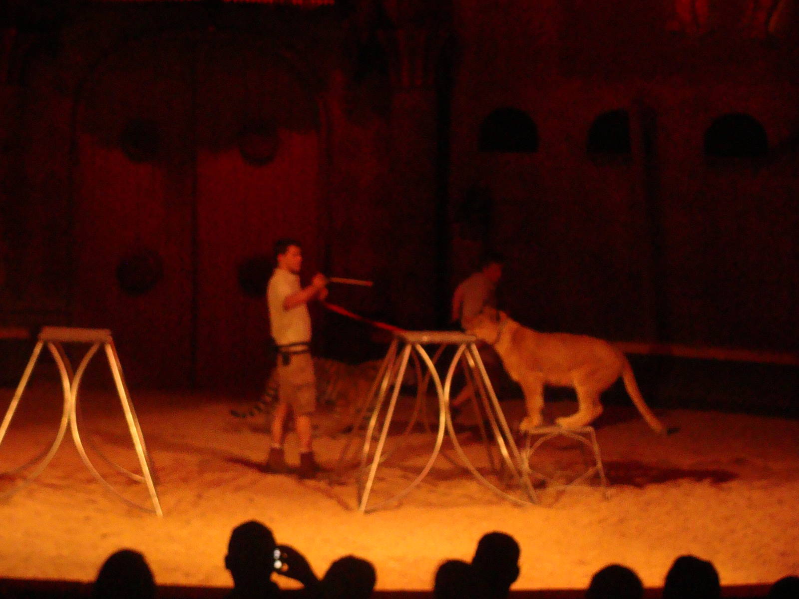 Bowmanville zoo-May 2015