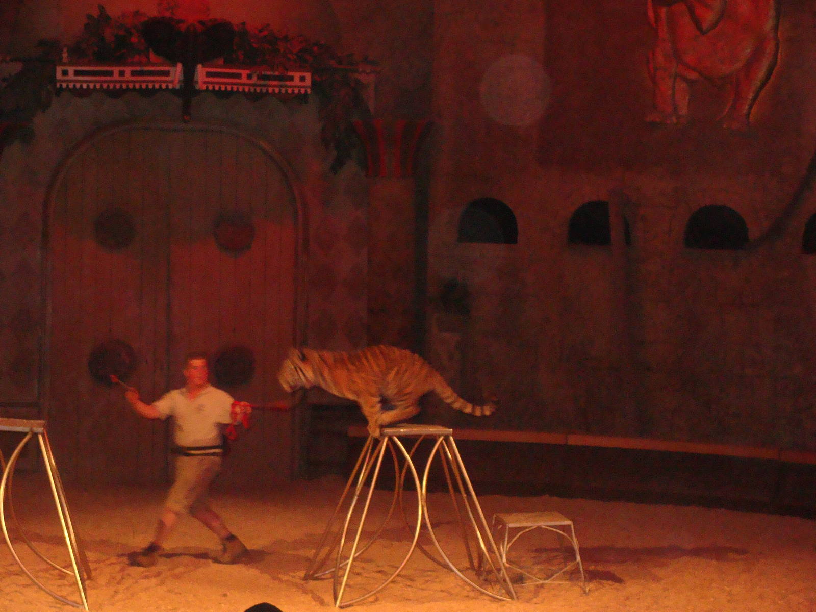 Bowmanville zoo-May 2015