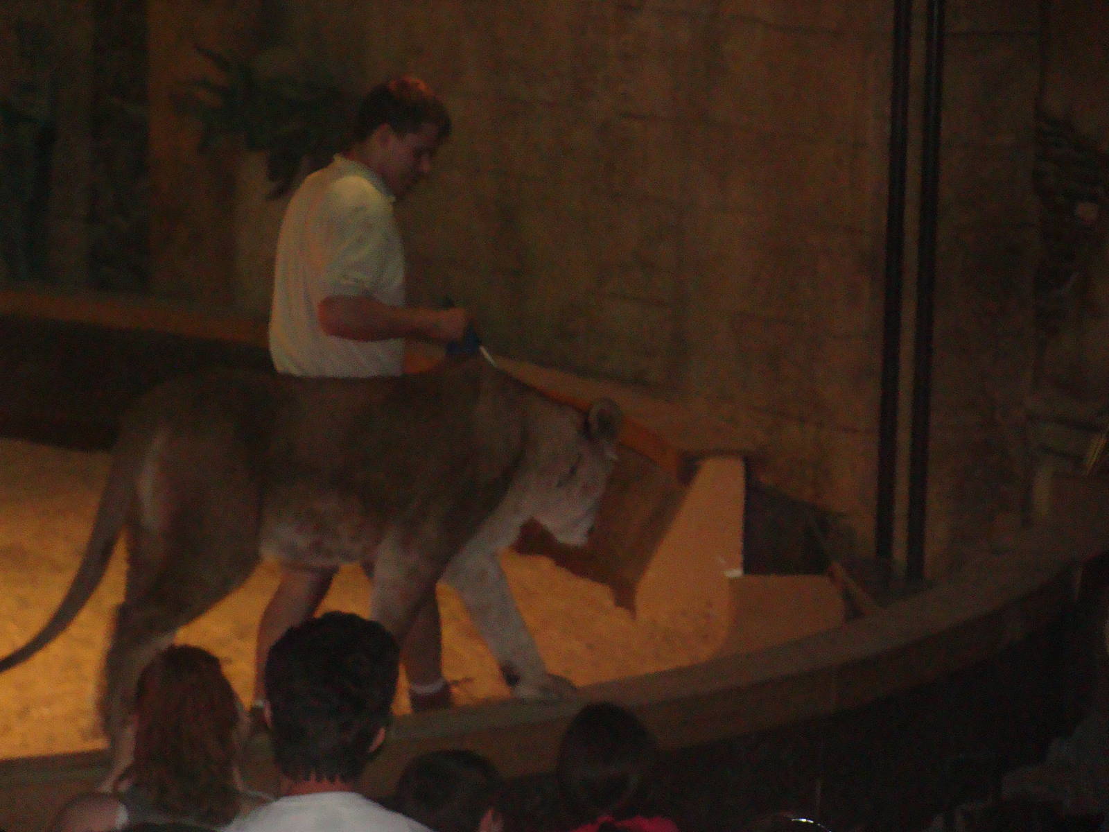 Bowmanville zoo-May 2015