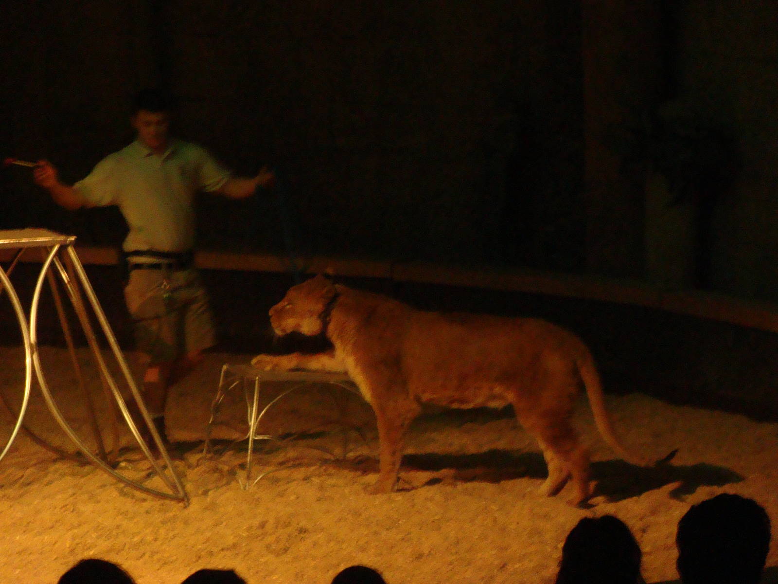 Bowmanville zoo-May 2015