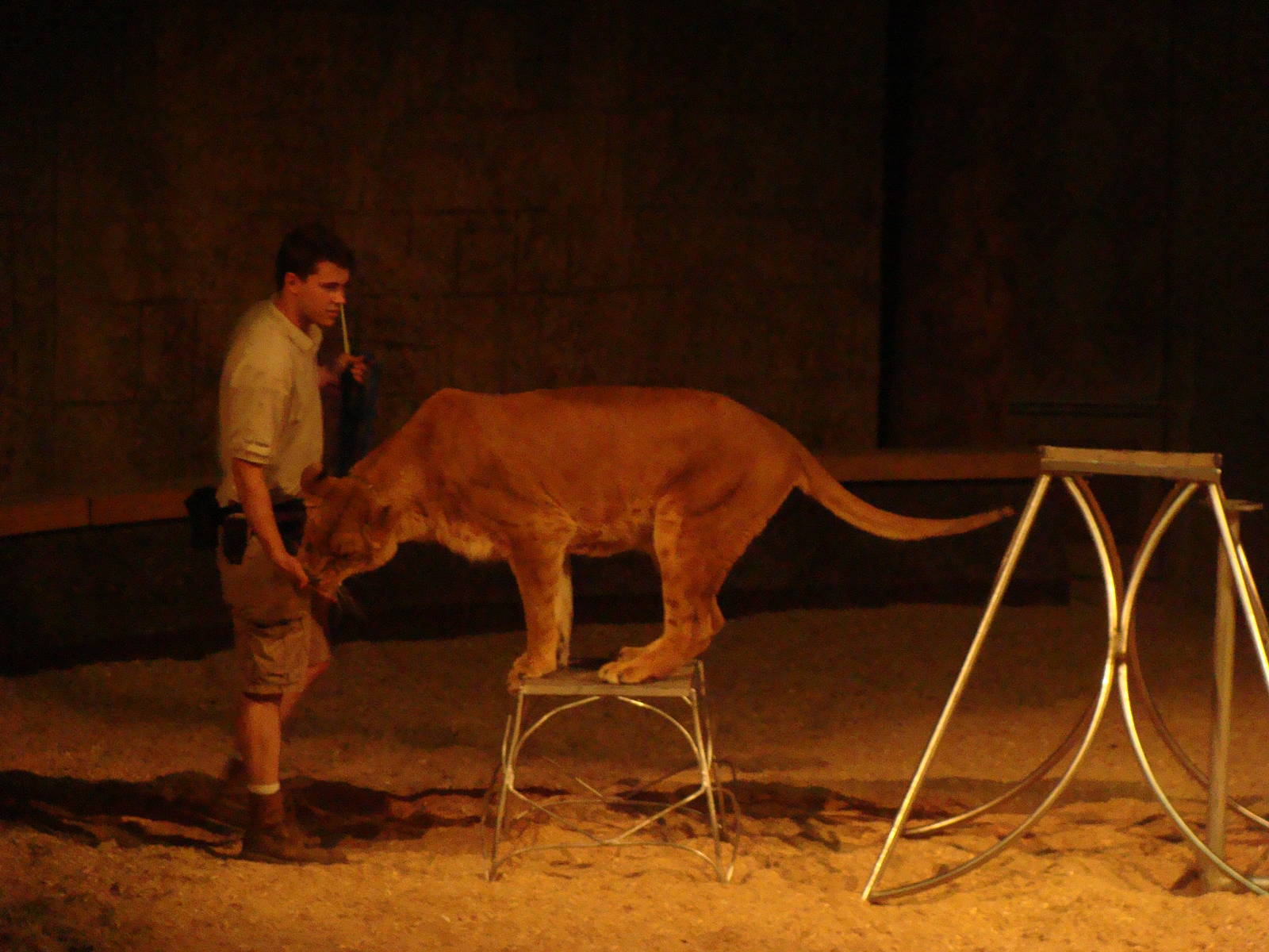 Bowmanville zoo-May 2015