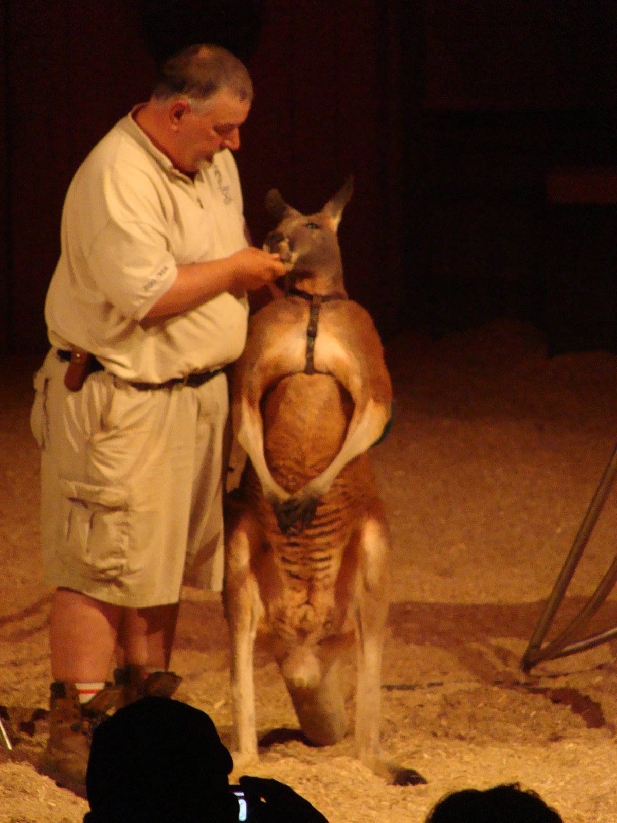 Bowmanville zoo-May 2015