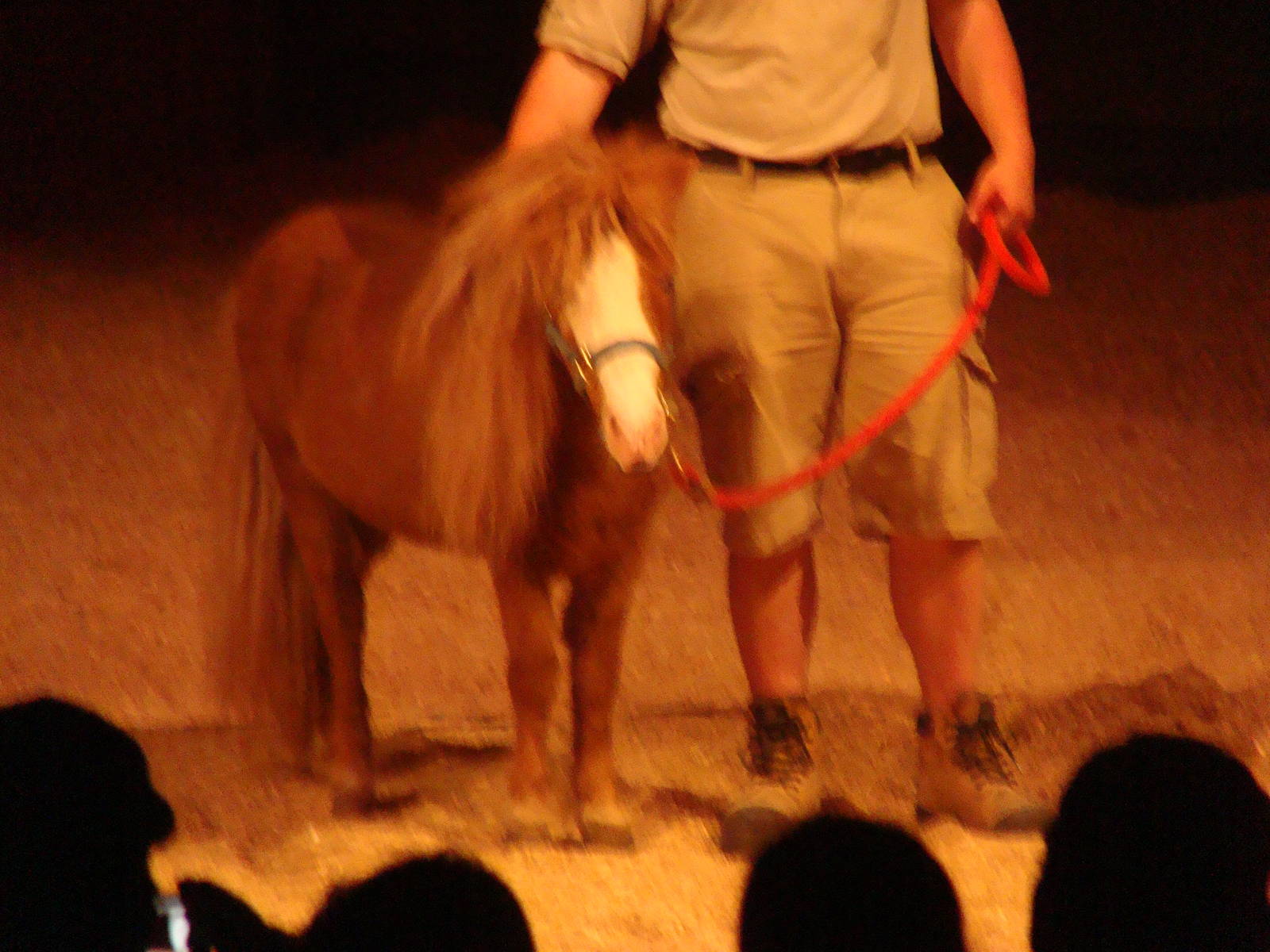 Bowmanville zoo-May 2015