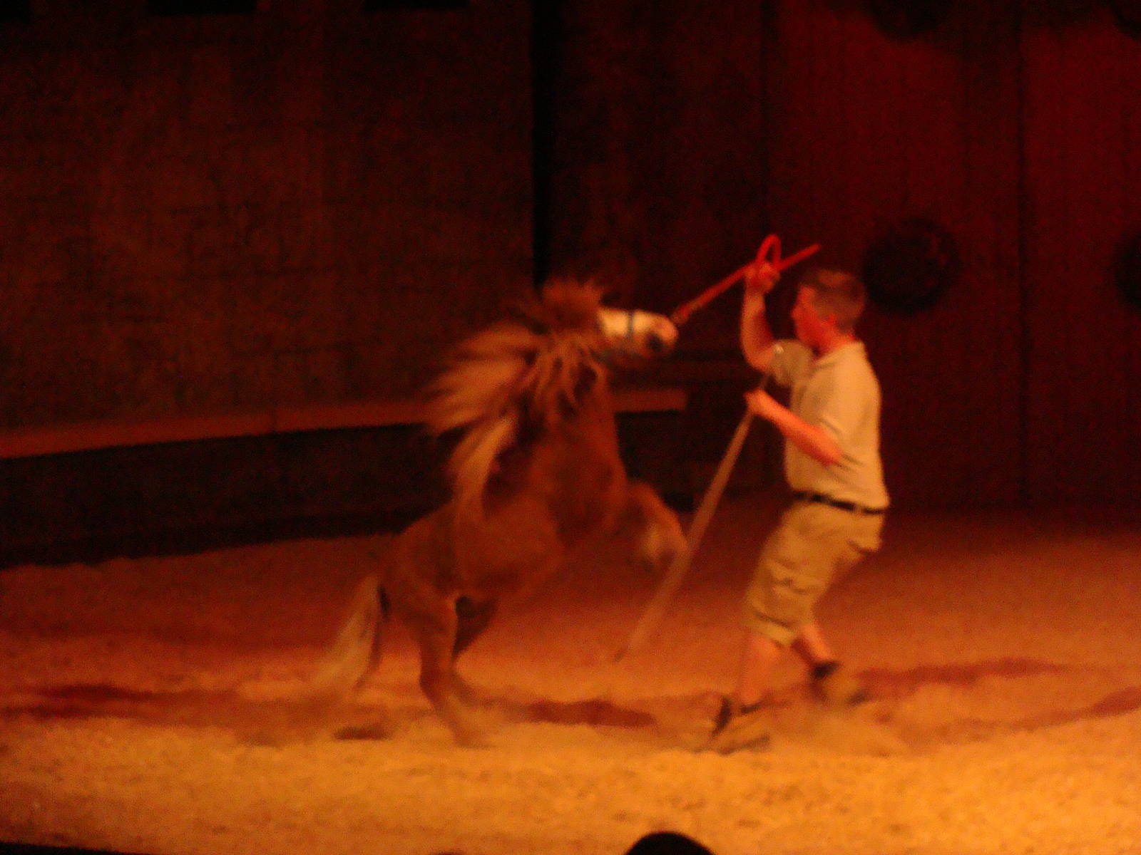 Bowmanville zoo-May 2015