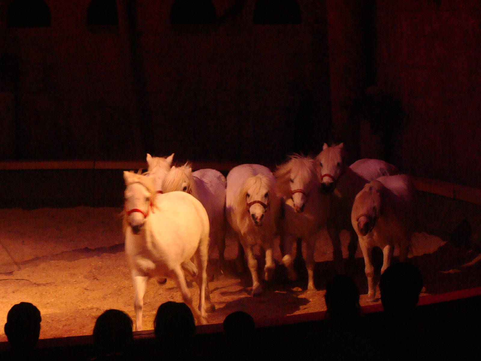 Bowmanville zoo-May 2015