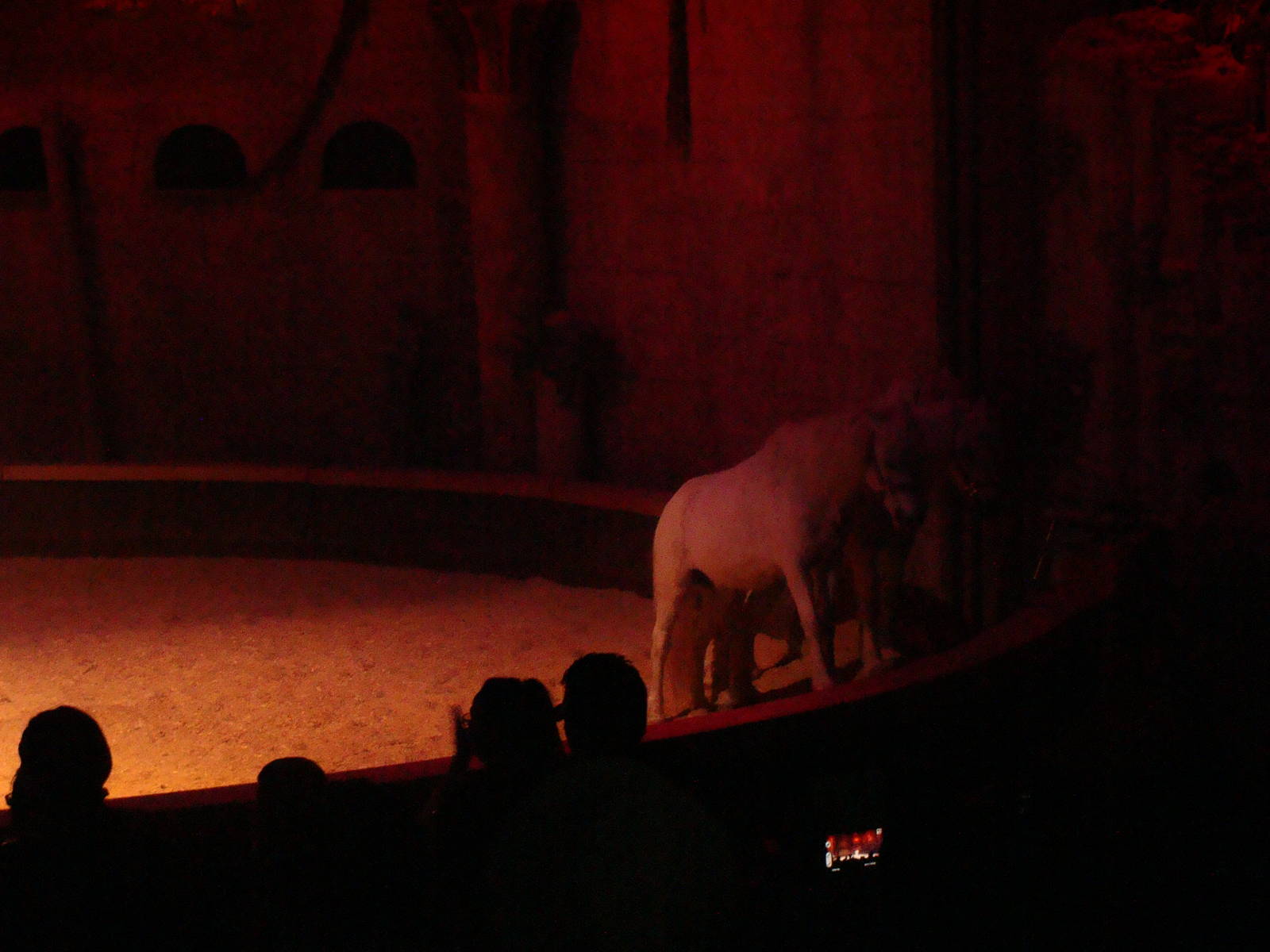 Bowmanville zoo-May 2015