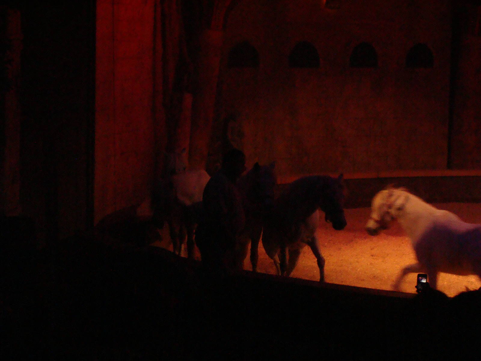 Bowmanville zoo-May 2015