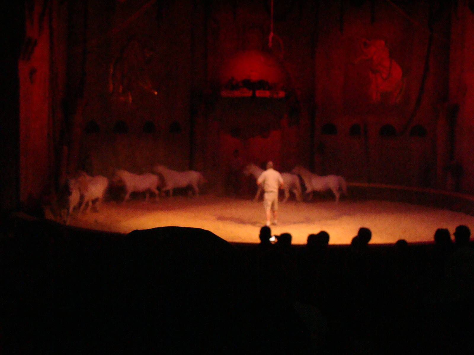 Bowmanville zoo-May 2015