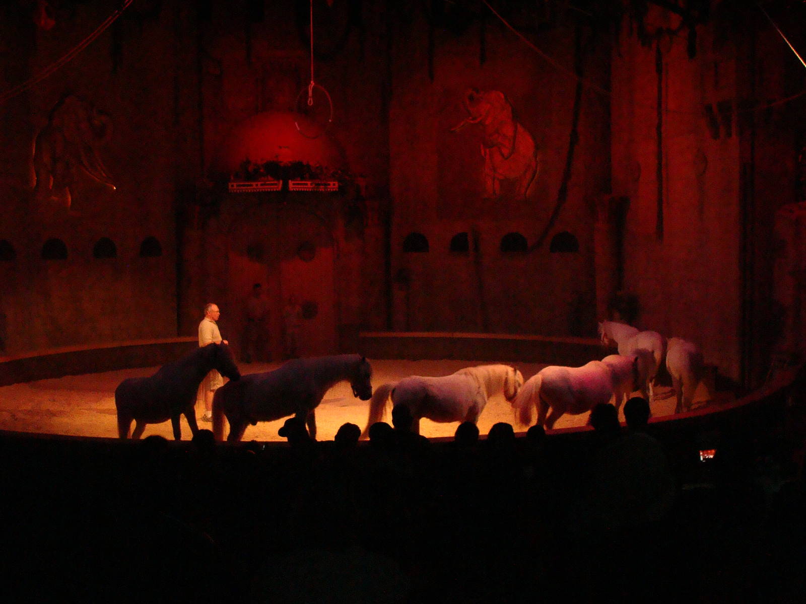 Bowmanville zoo-May 2015