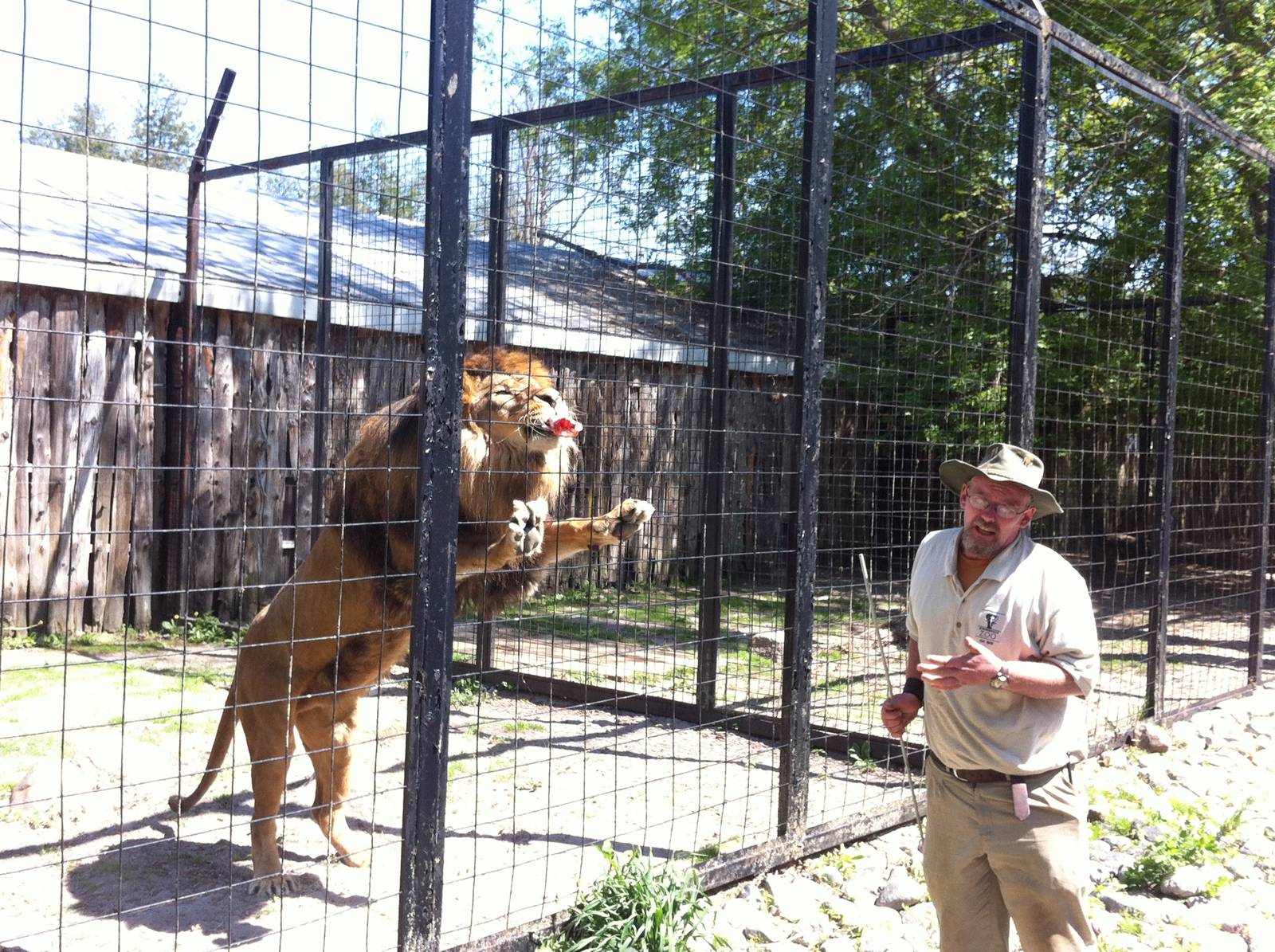Bowmanville zoo-May 2015