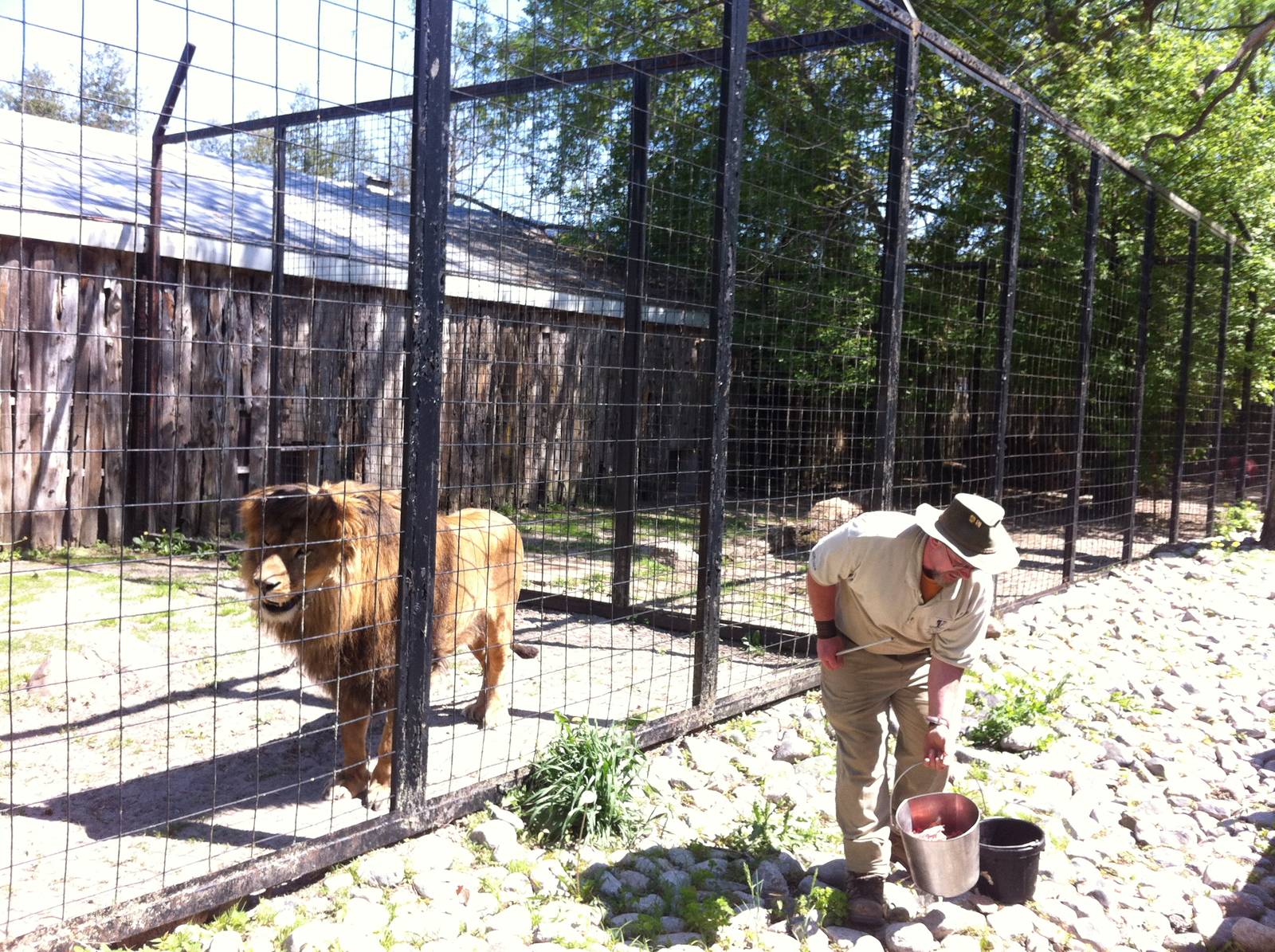 Bowmanville zoo-May 2015