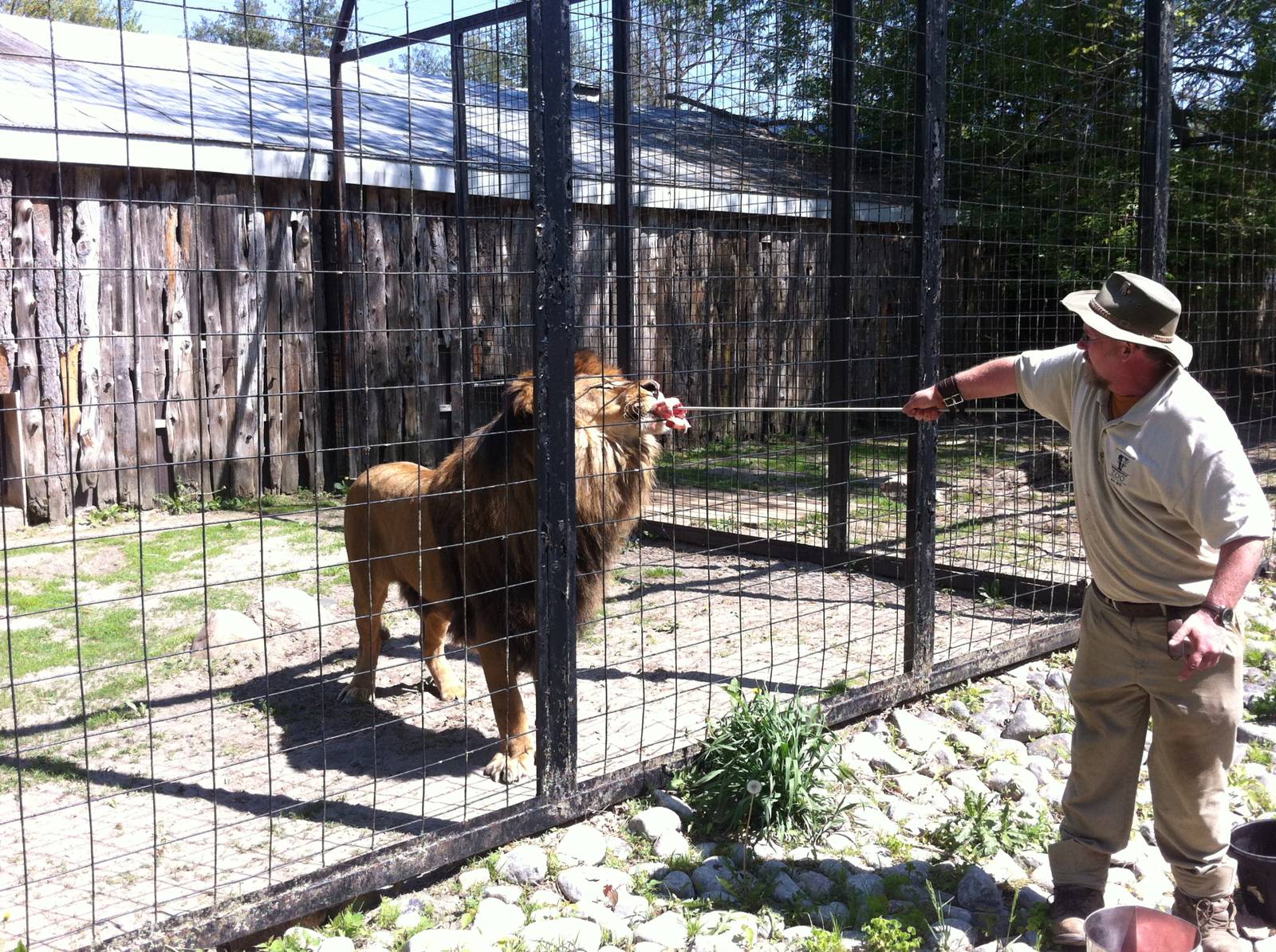 Bowmanville zoo-May 2015
