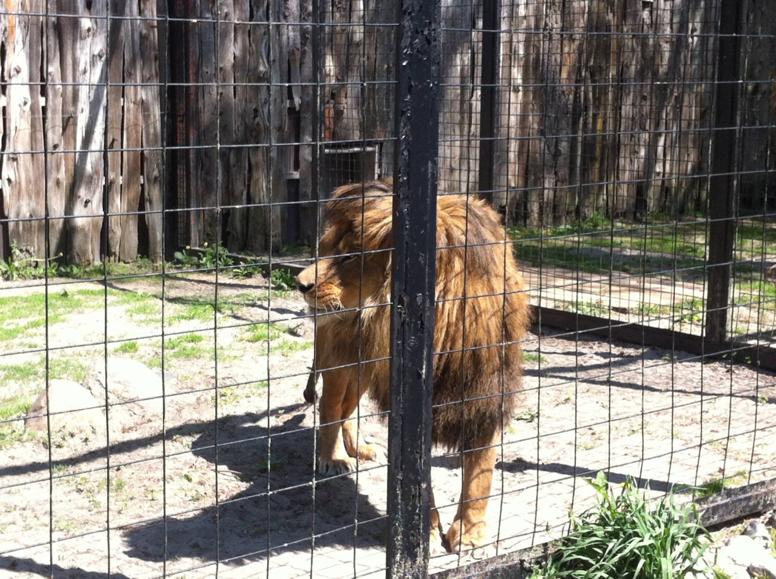 Bowmanville zoo-May 2015