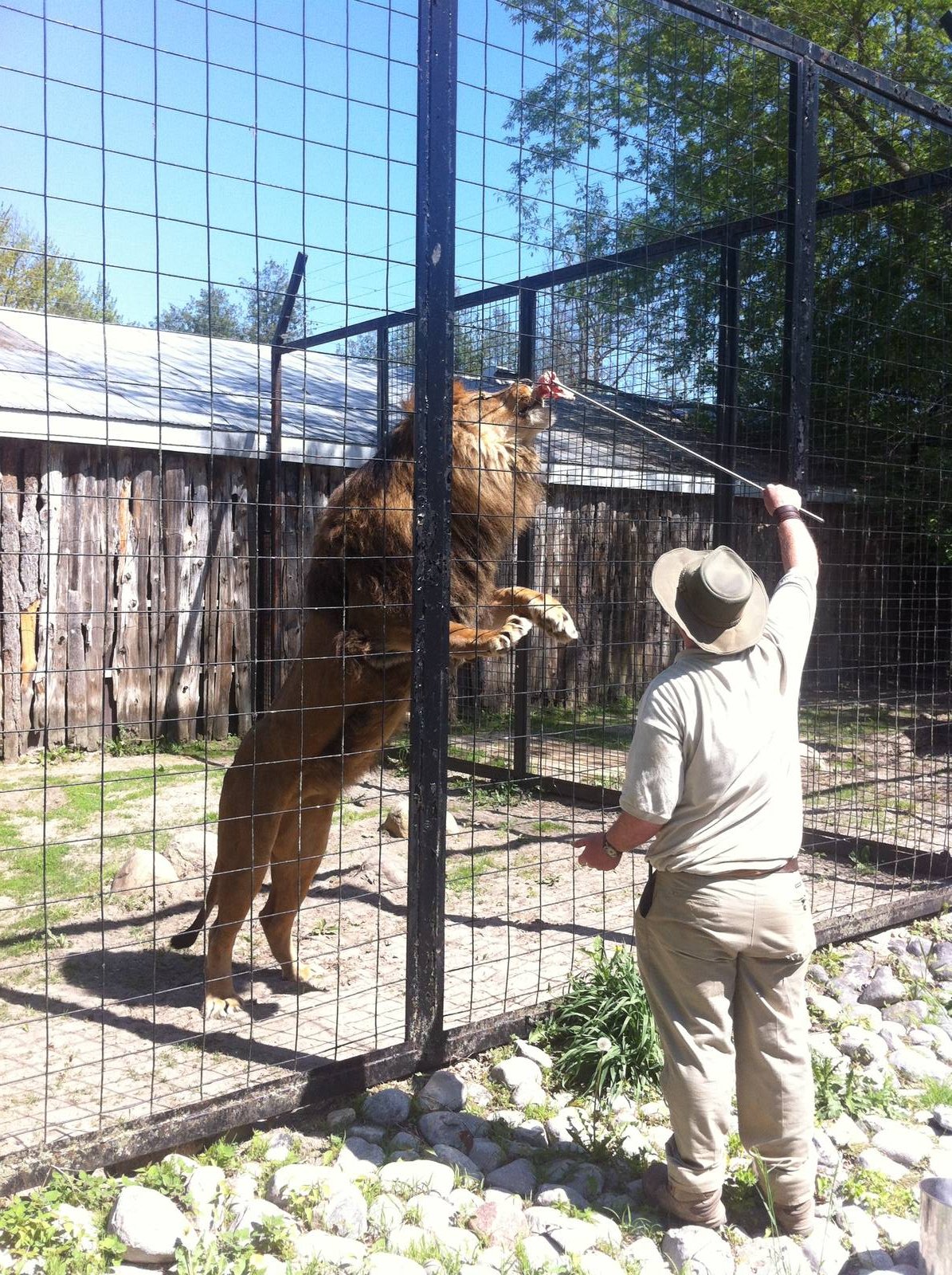 Bowmanville zoo-May 2015