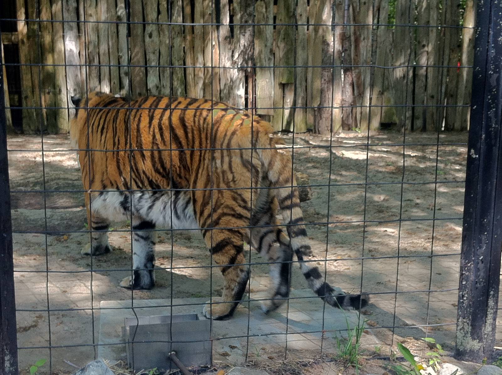 Bowmanville zoo-May 2015