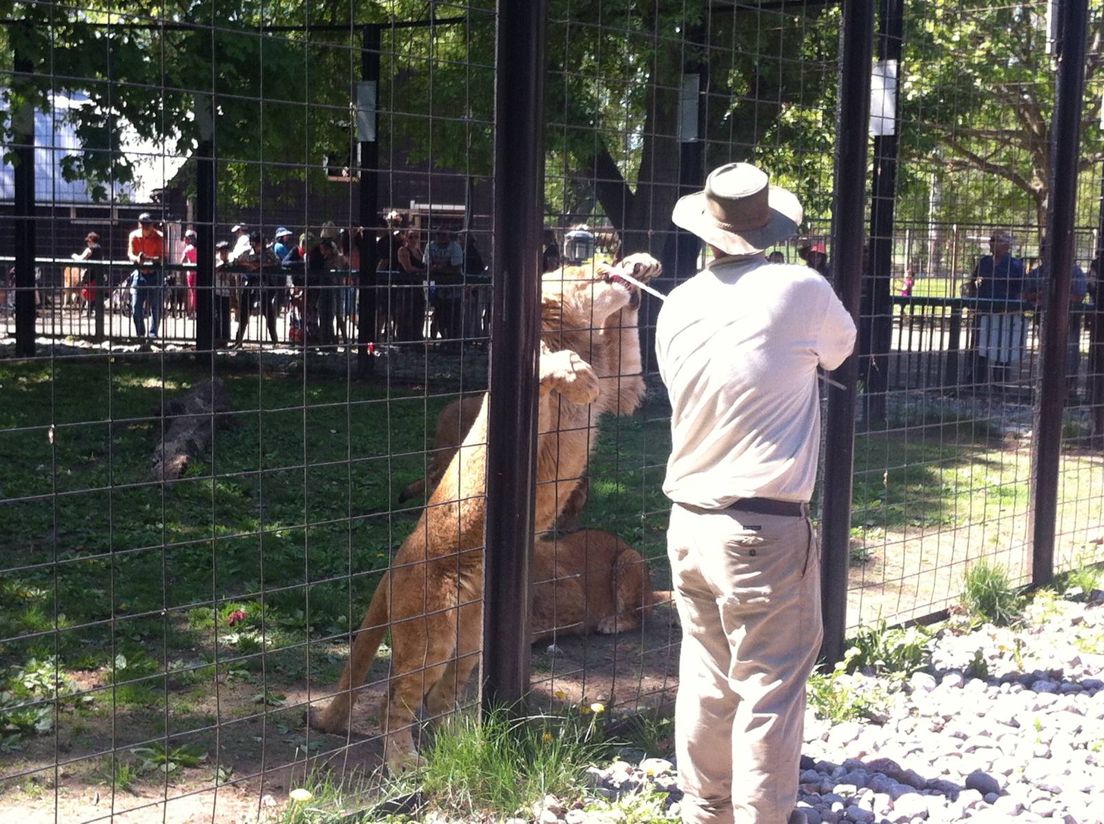 Bowmanville zoo-May 2015