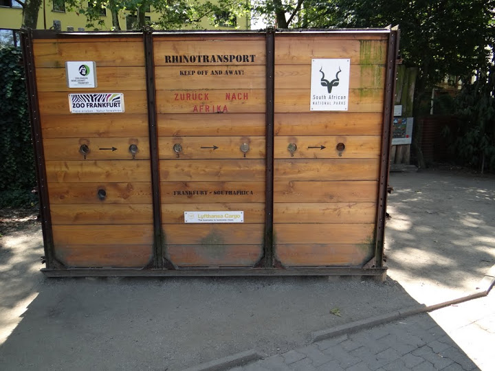 Box for the transport Diceros bicornis minor