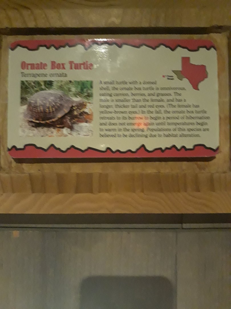 Box turtle sign