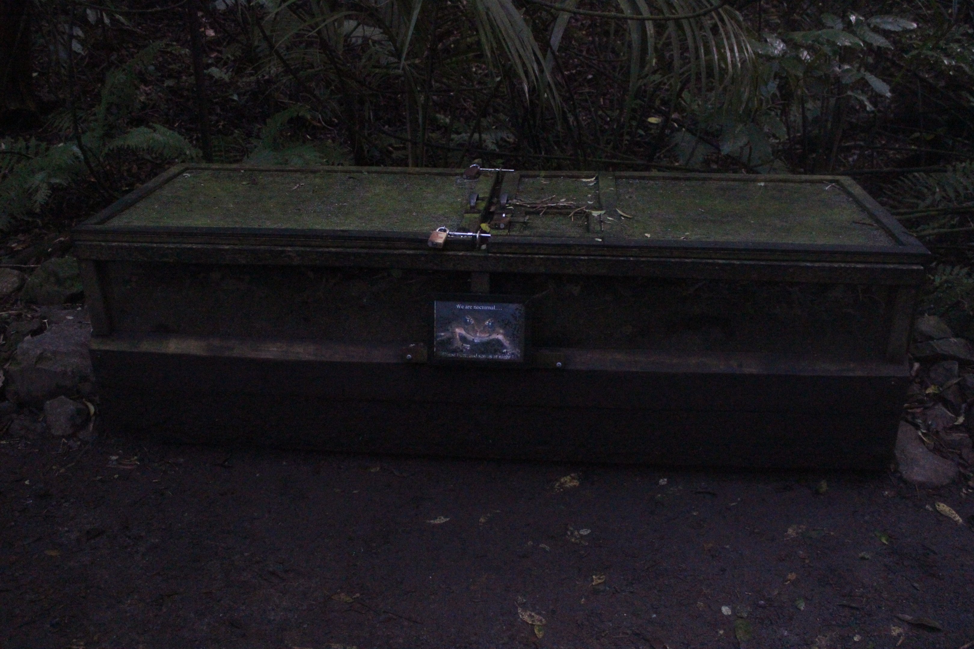 Boxes for Leiopelma pakeka