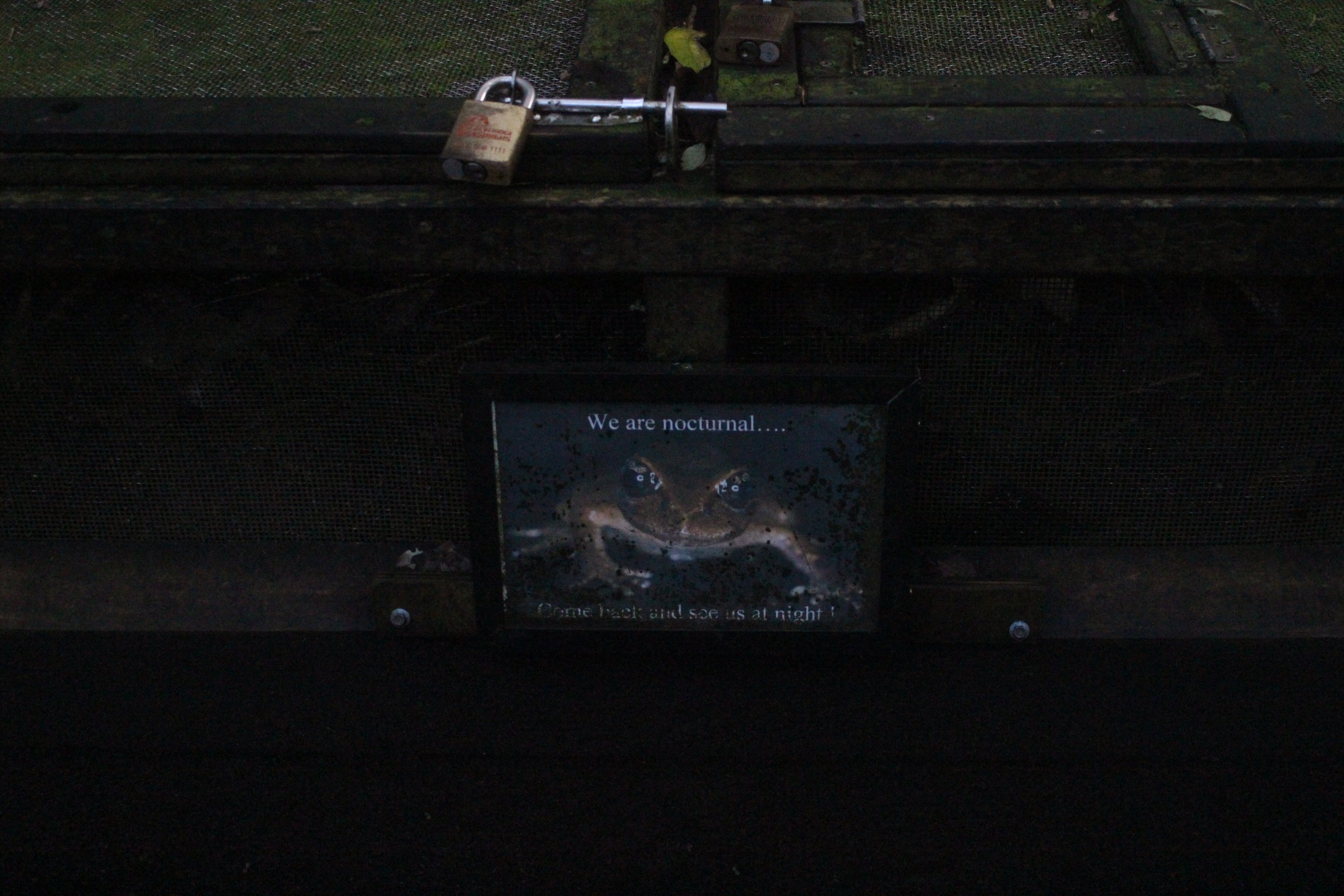 Boxes for Leiopelma pakeka