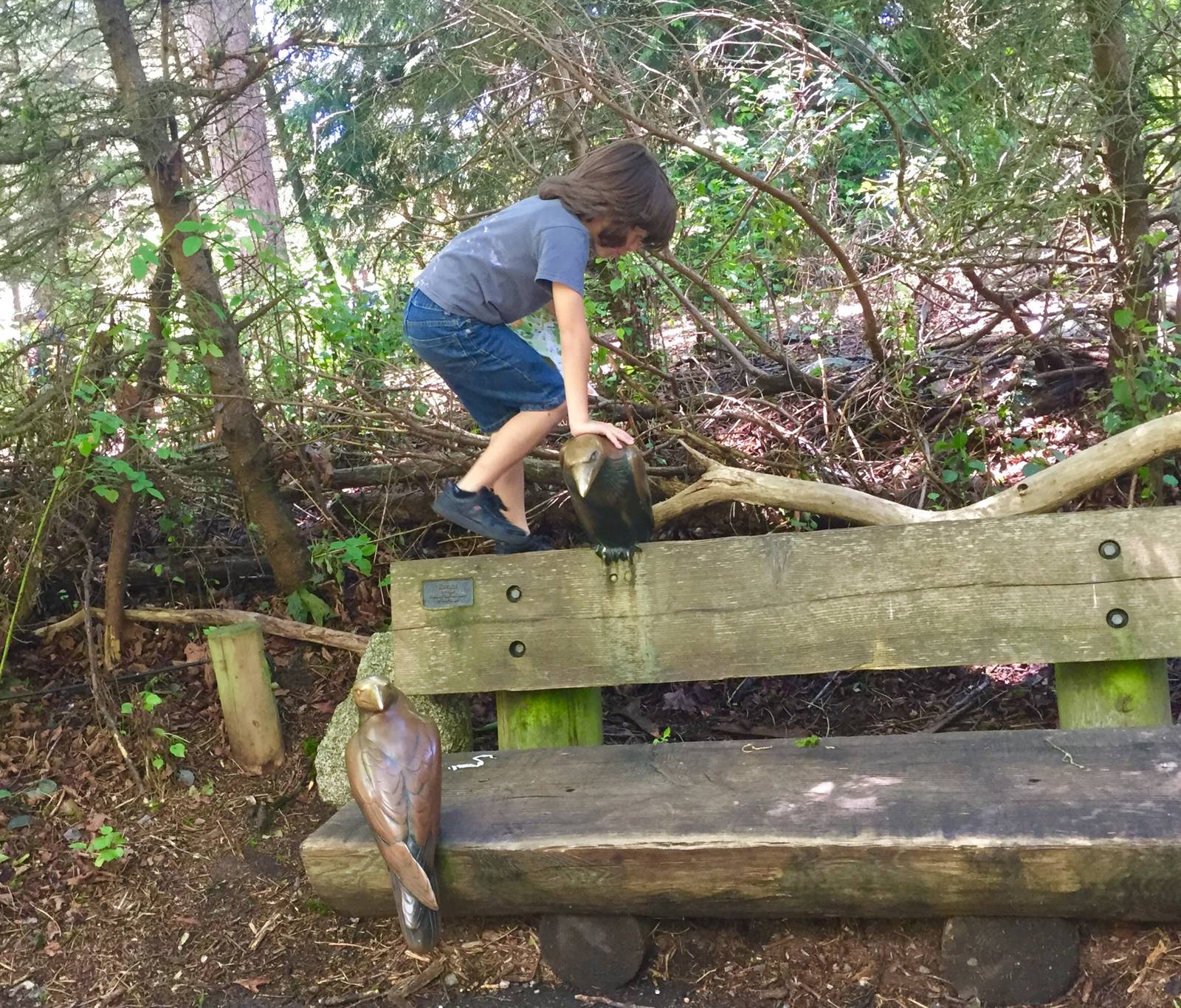 Boy on the Raven Bench.