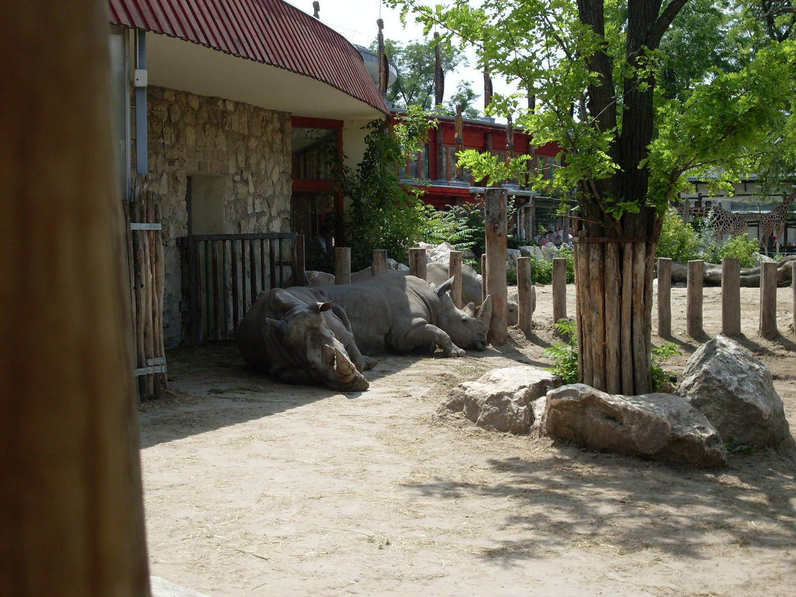 Bp. 2014. may. rhino relax