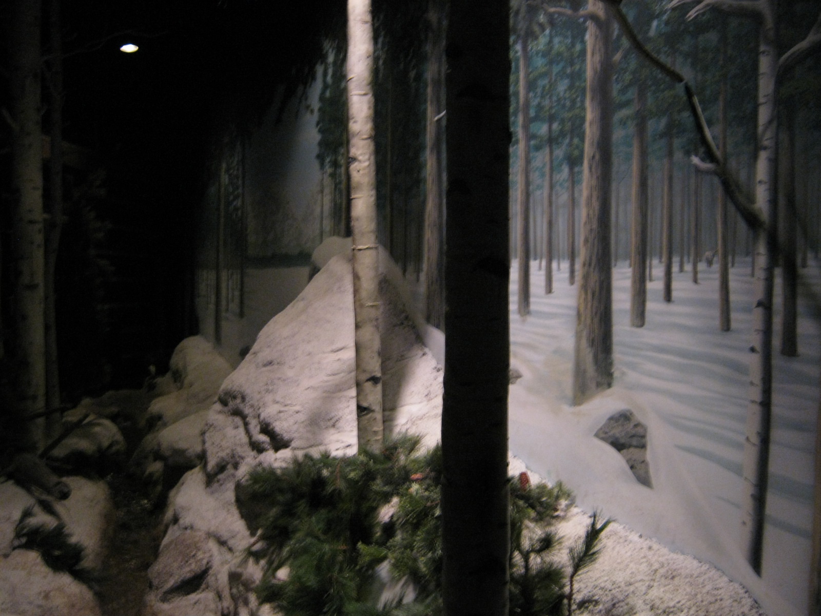 BPZ - Discovery Center