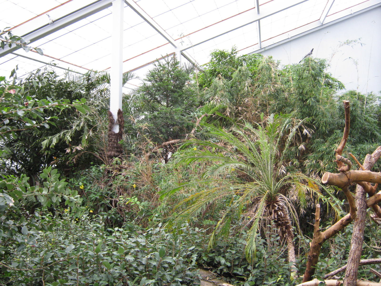 BPZ - Discovery Center