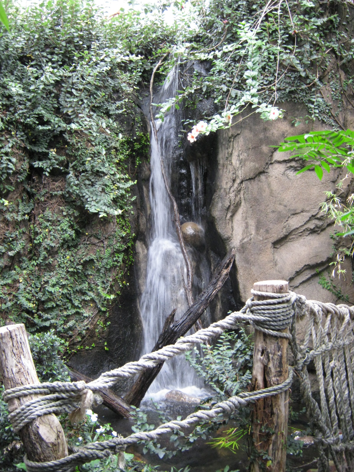 BPZ - Discovery Center