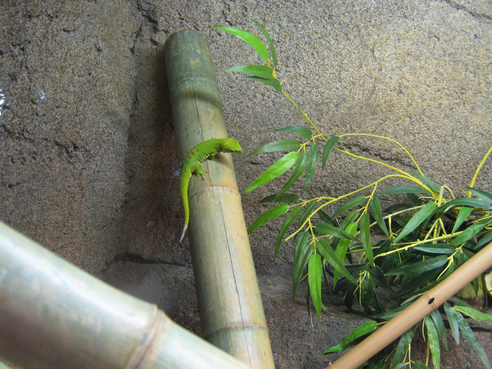 BPZ - Discovery Center