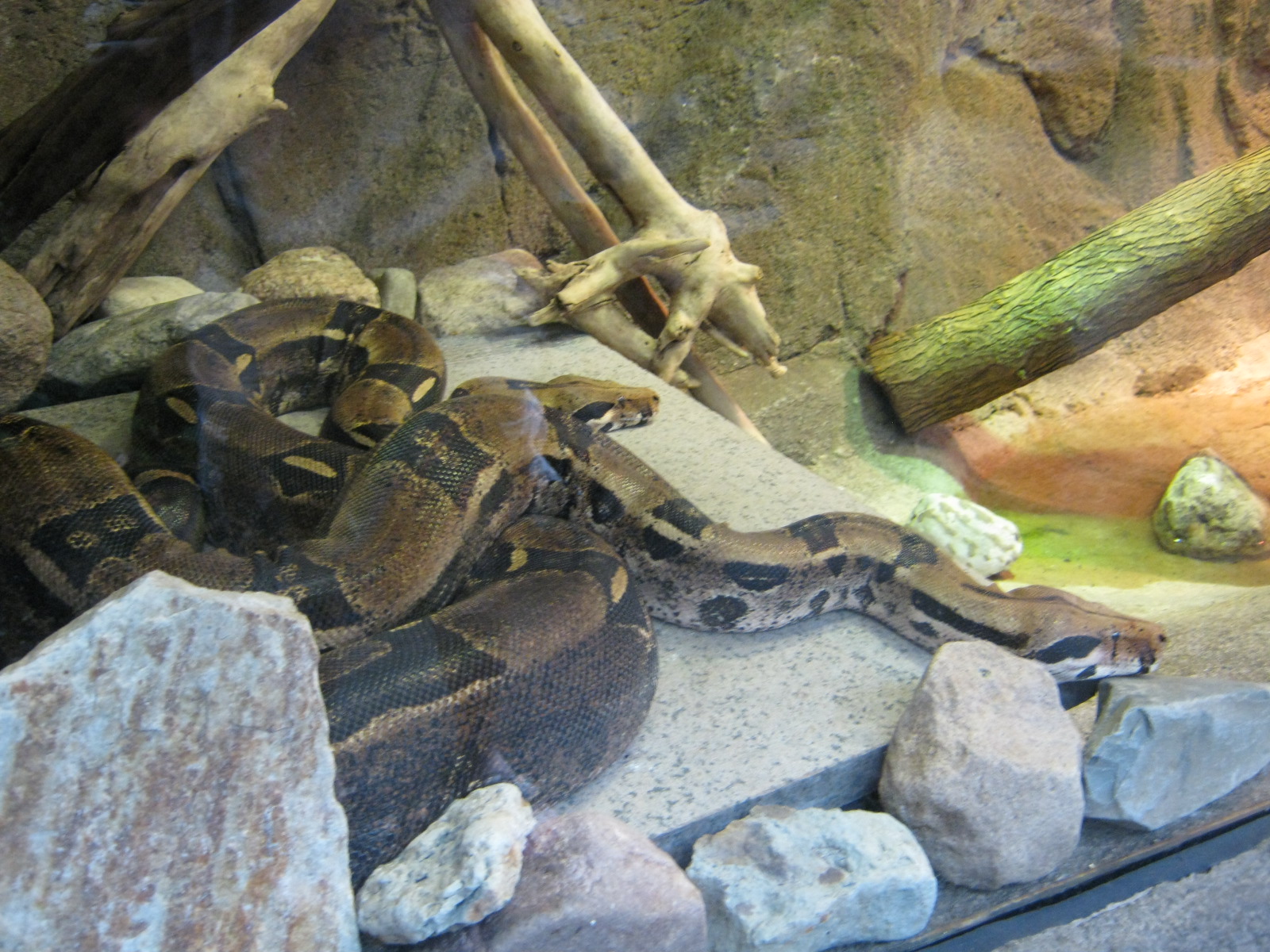 BPZ - Discovery Center