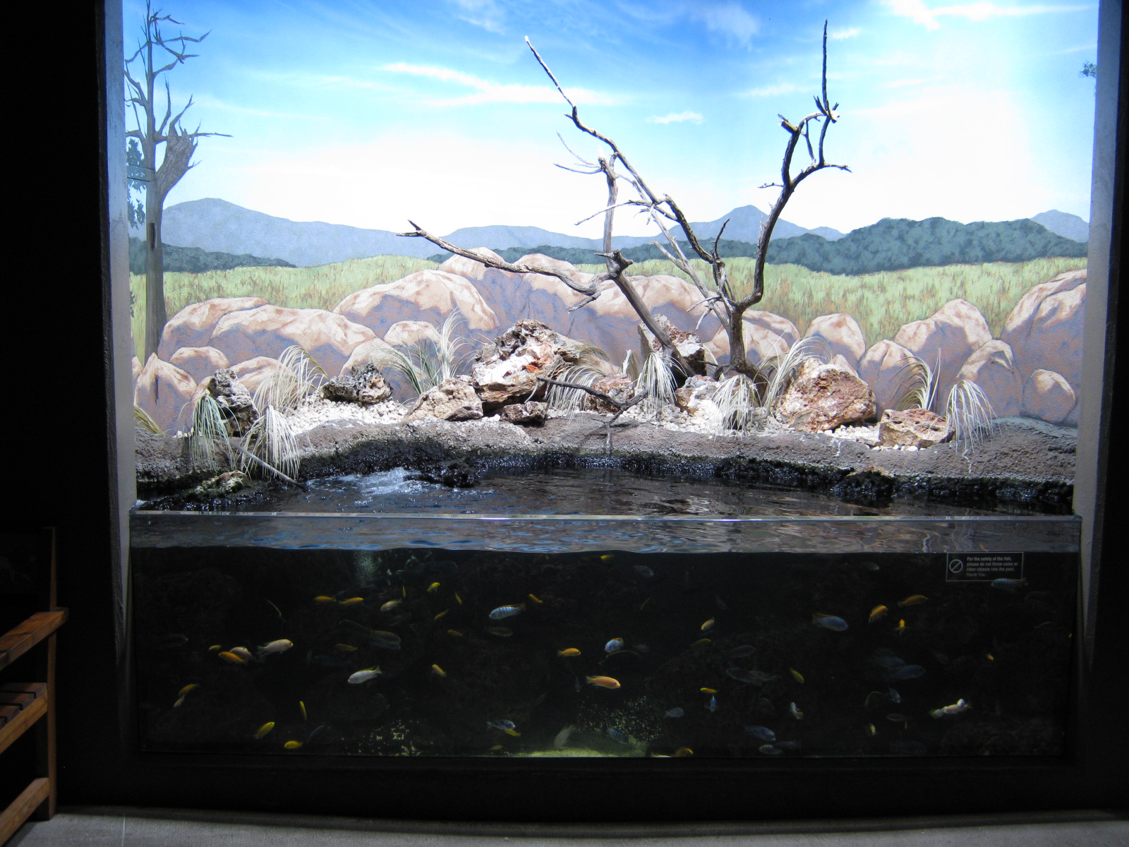 BPZ - Discovery Center