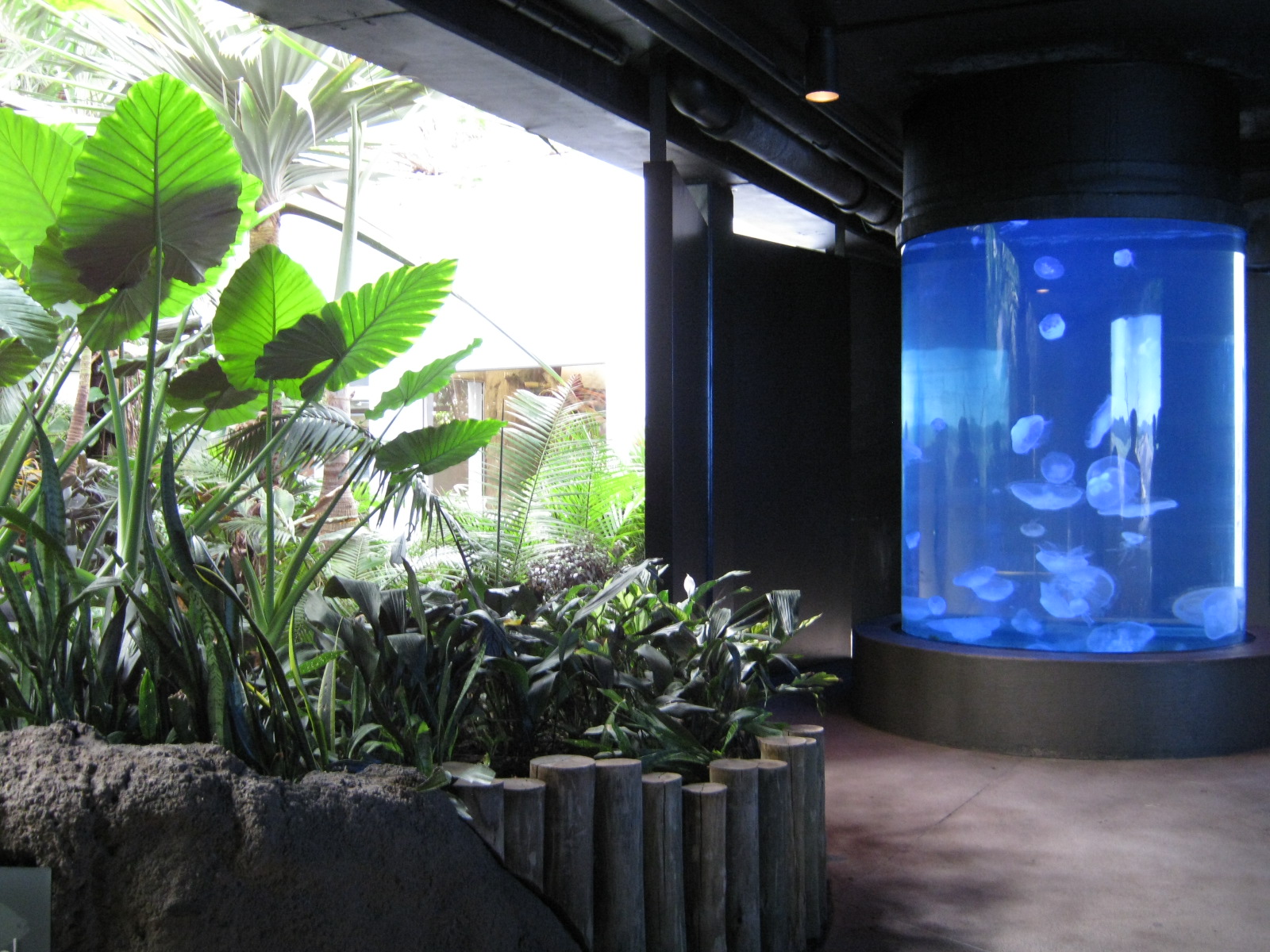 BPZ - Discovery Center