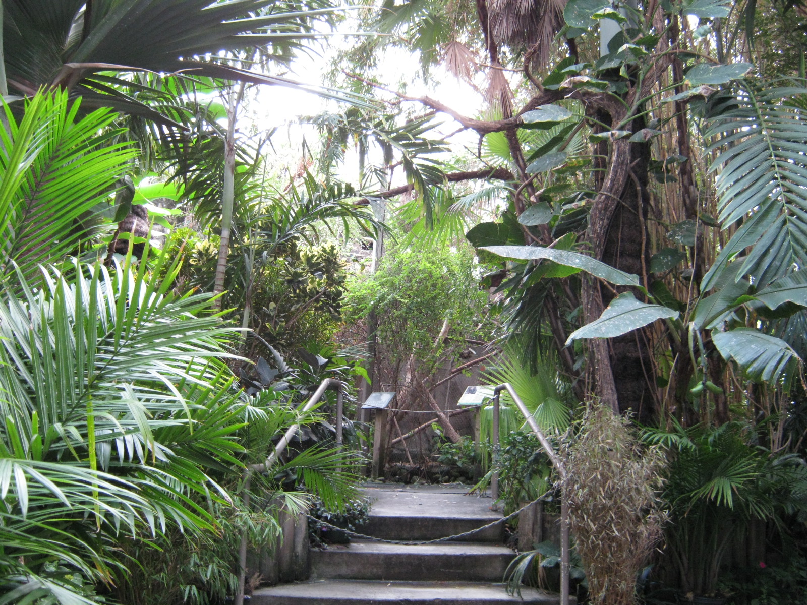 BPZ - Discovery Center