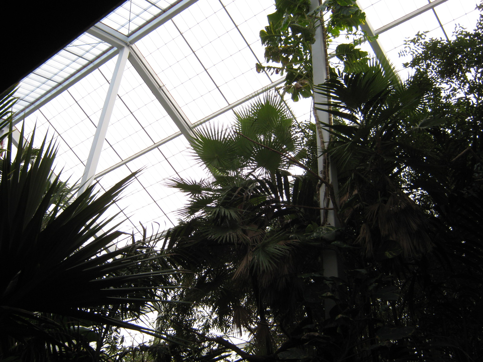 BPZ - Discovery Center