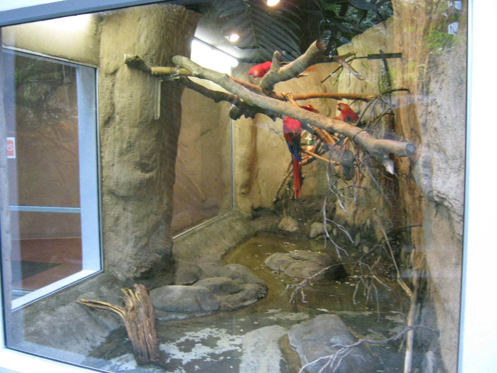 BPZ - Discovery Center