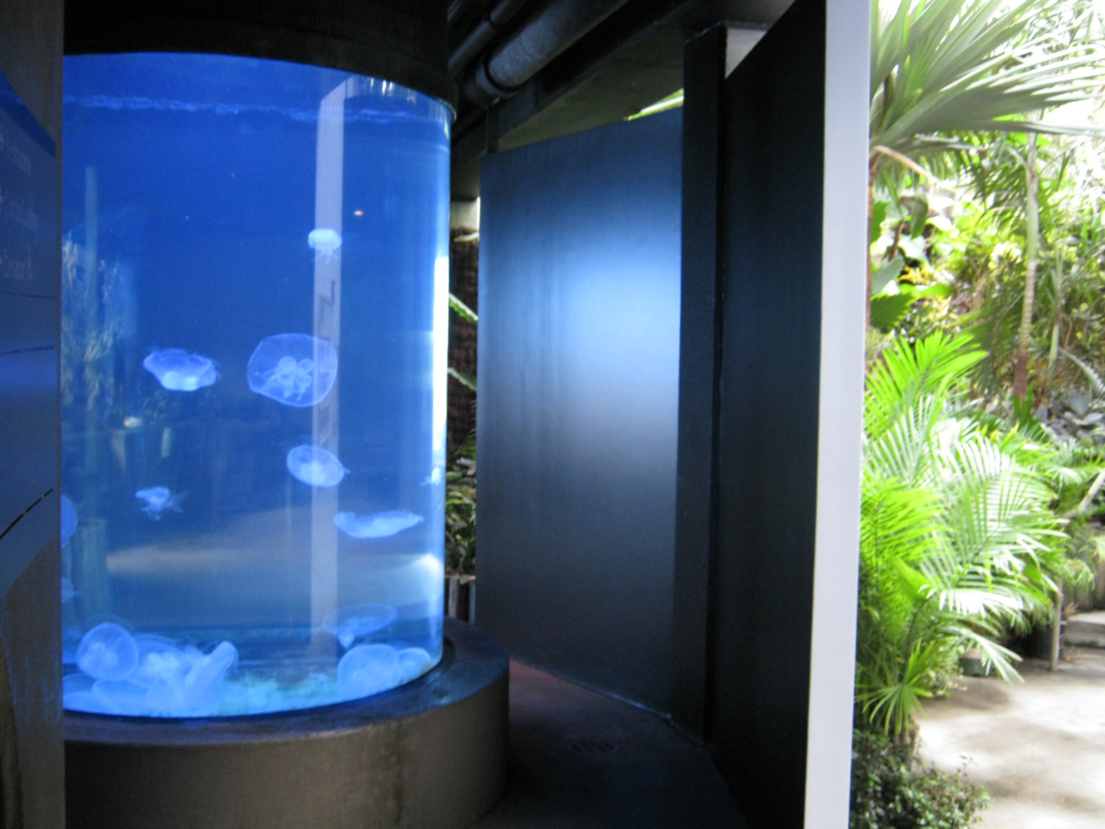 BPZ - Discovery Center