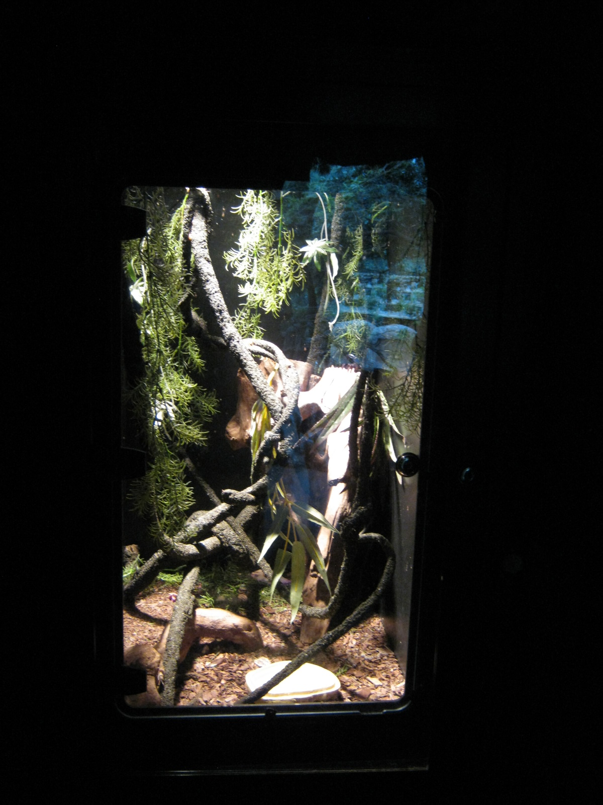 BPZ - Discovery Center