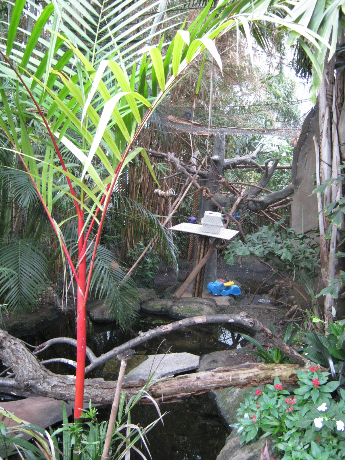 BPZ - Discovery Center