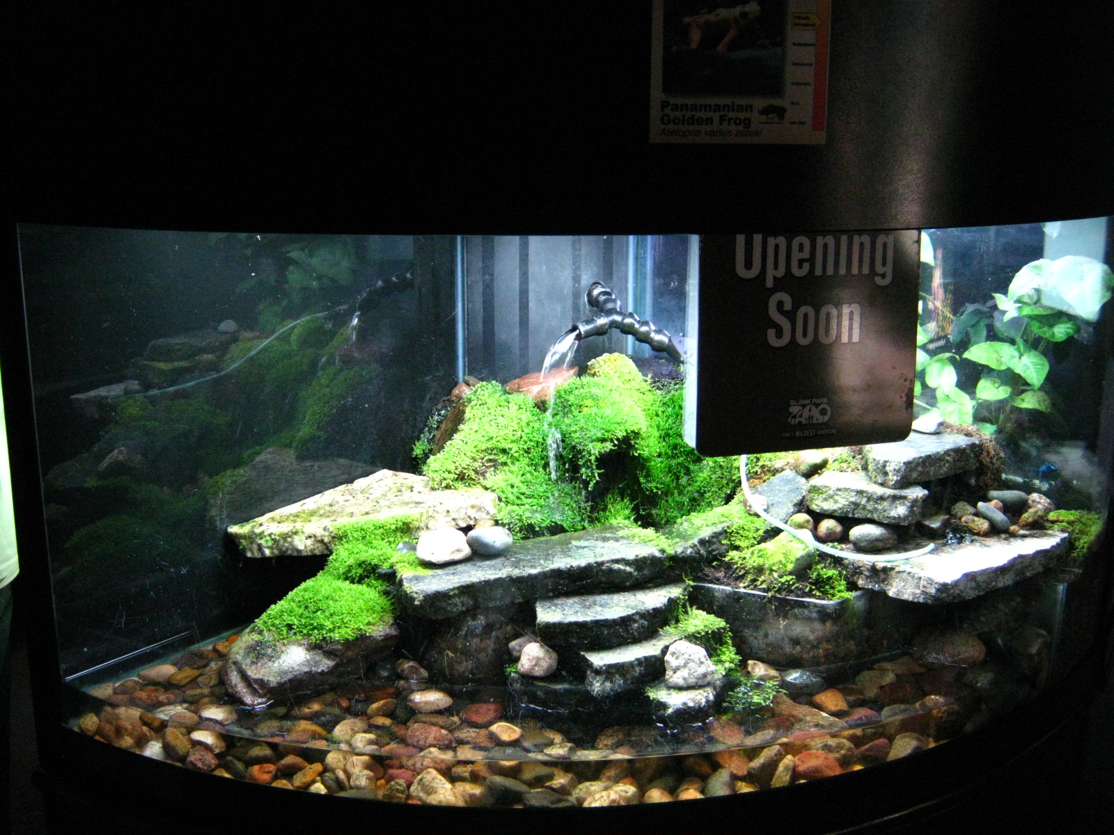 BPZ - Discovery Center