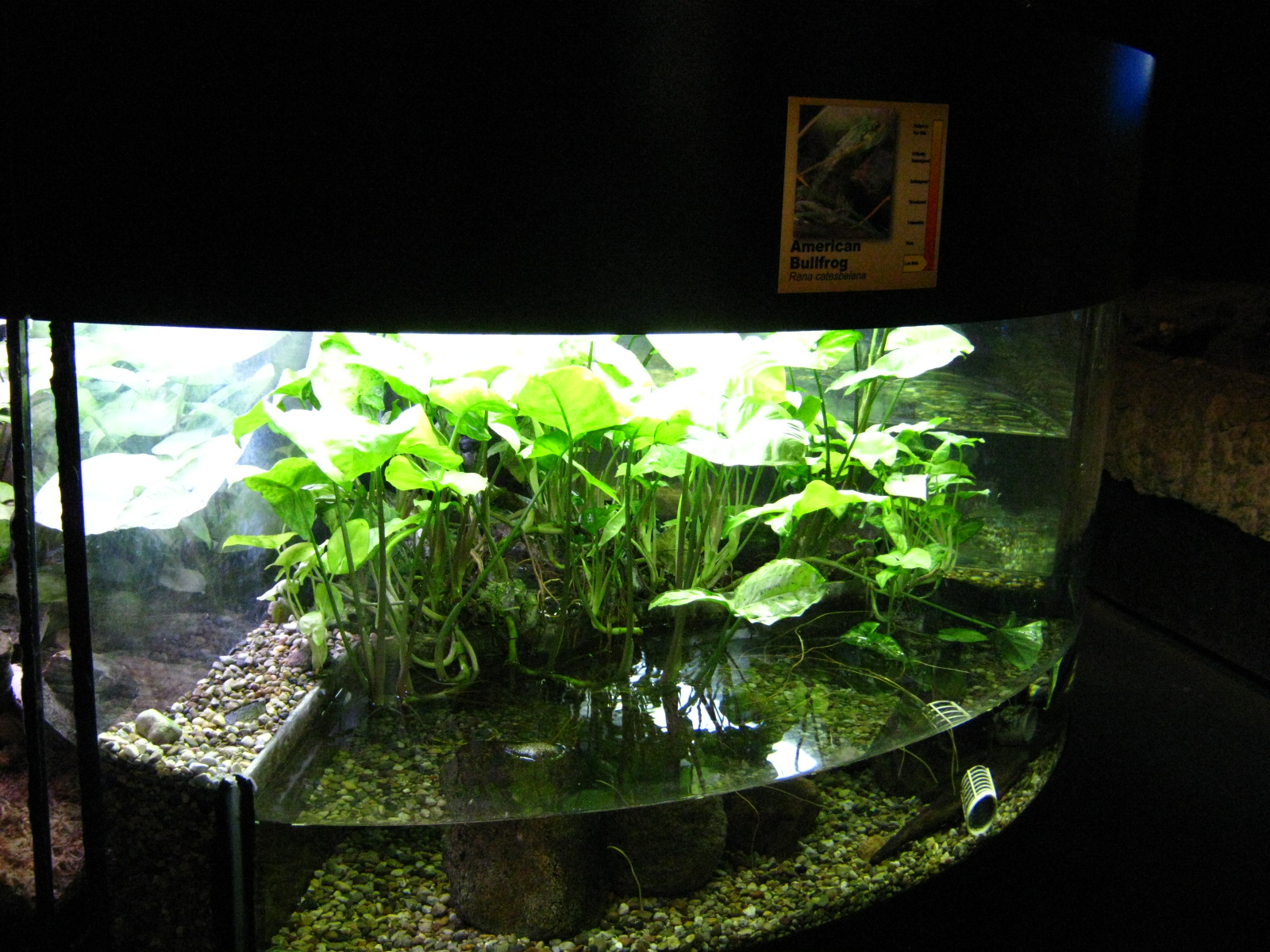 BPZ - Discovery Center