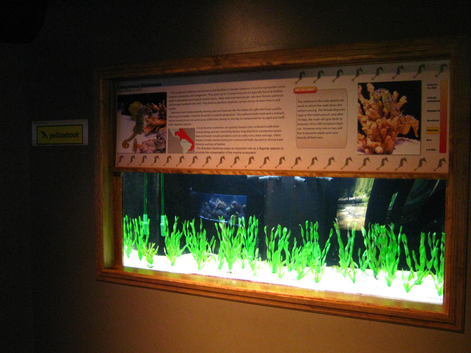 BPZ - Discovery Center