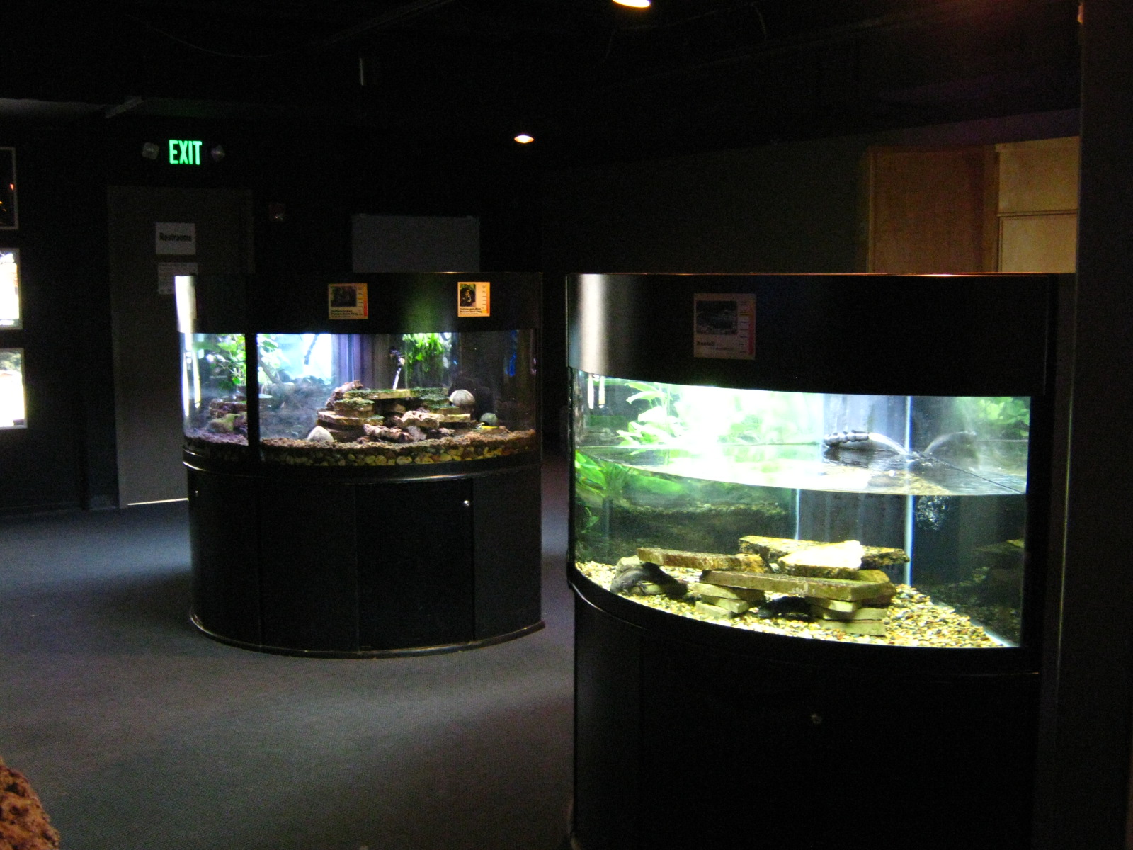 BPZ - Discovery Center
