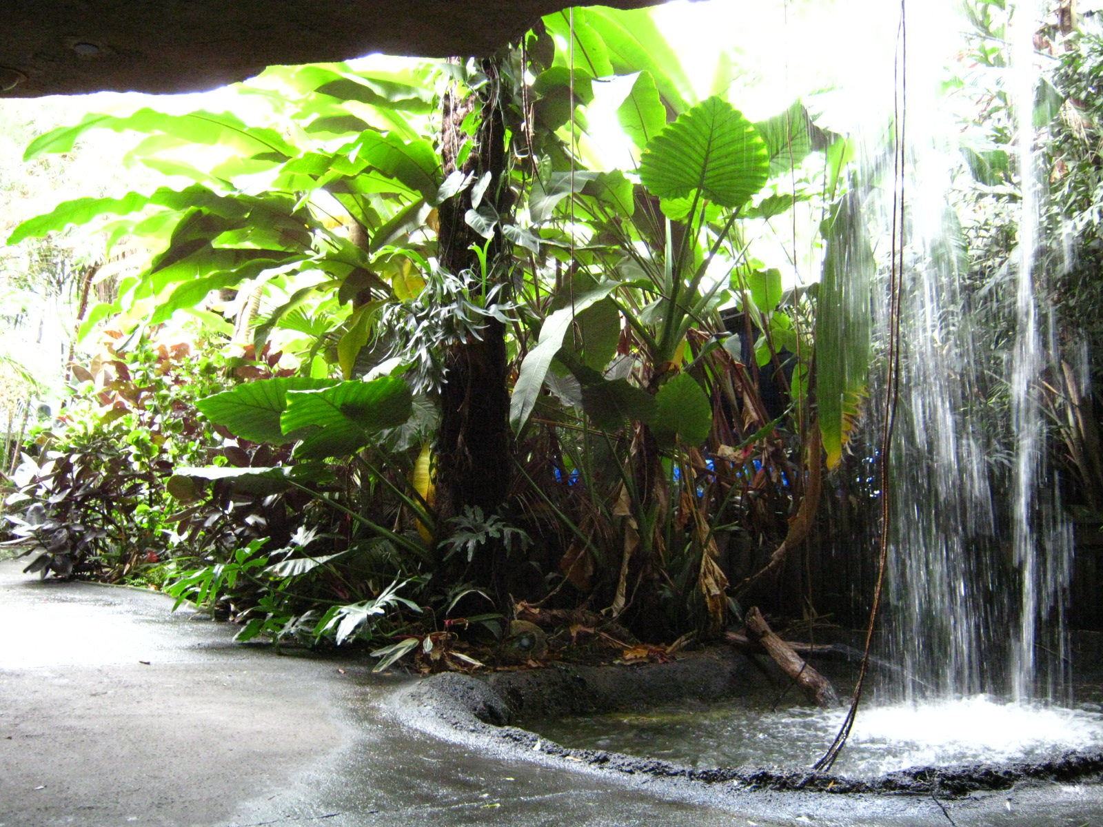 BPZ - Discovery Center