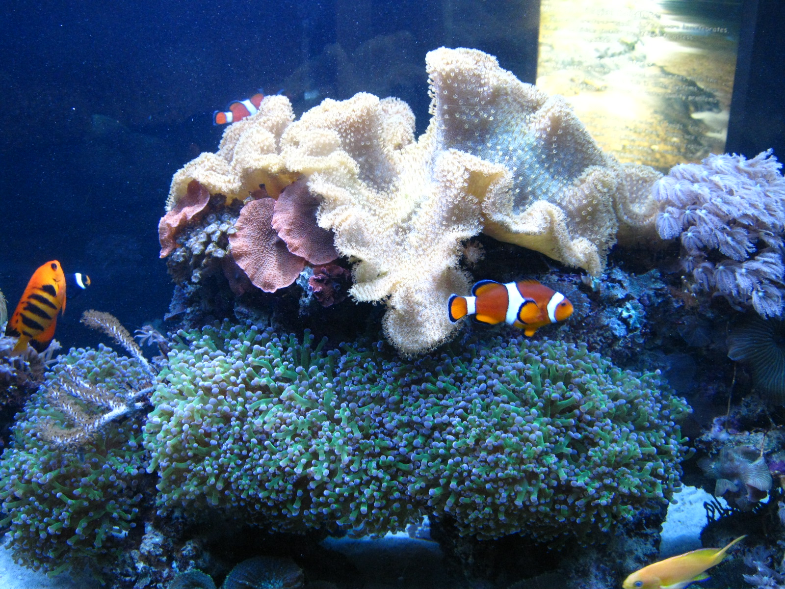 BPZ - Discovery Center