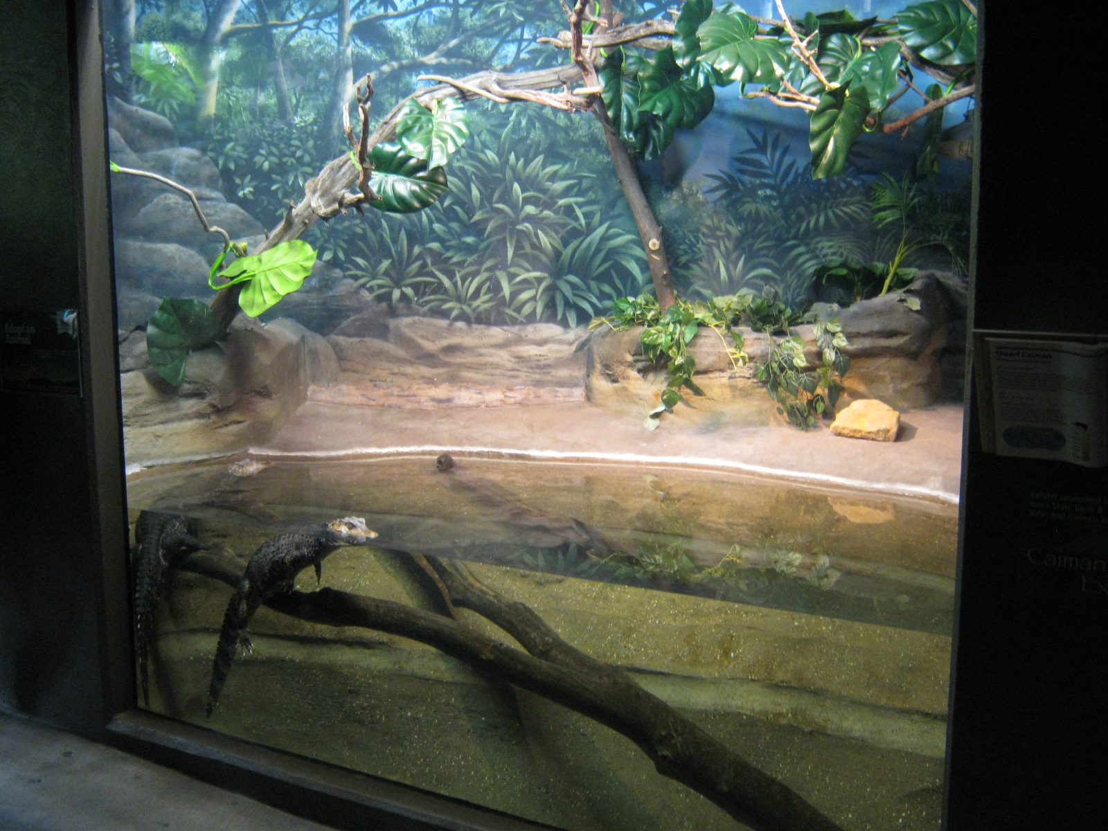 BPZ - Discovery Center