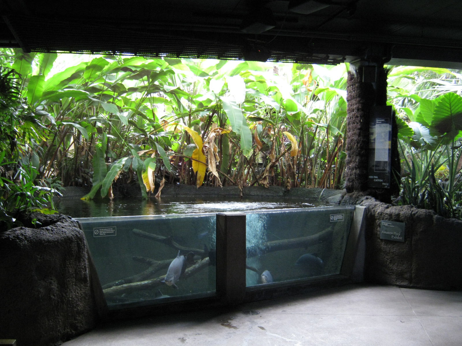 BPZ - Discovery Center