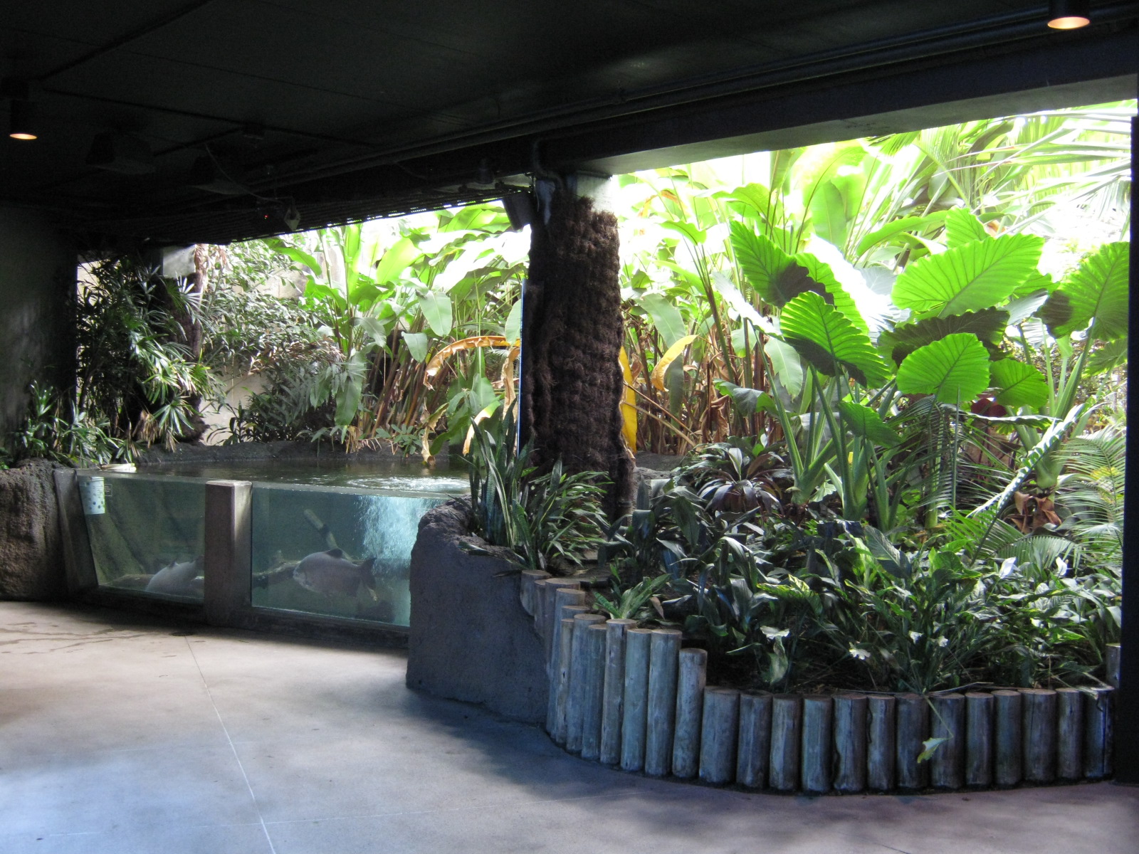 BPZ - Discovery Center